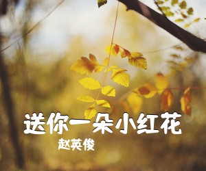 赵英俊《送你一朵小红花吉他谱》(G调)