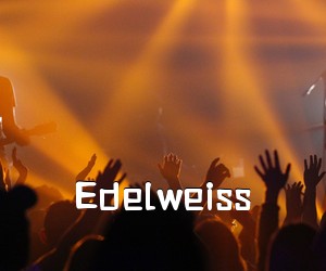 《Edelweiss吉他谱》(C调)