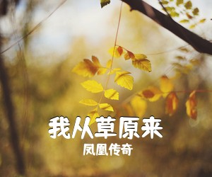 凤凰传奇《我从草原来吉他谱》(G调)