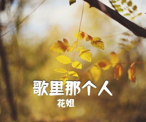 花姐《歌里那个人简谱》