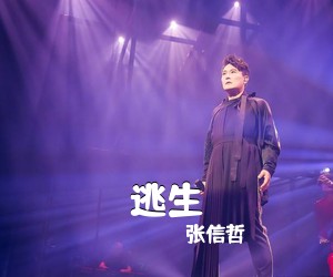 张信哲《逃生吉他谱》(D调)
