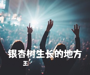 王喆《银杏树生长的地方简谱》