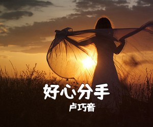 卢巧音《好心分手吉他谱》