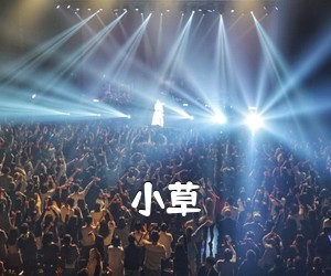 《小草吉他谱》(C调)
