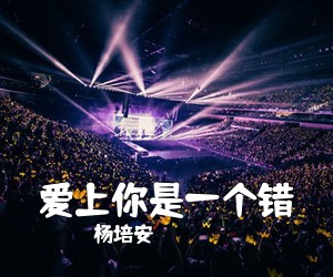 杨培安《爱上你是一个错吉他谱》(G调)