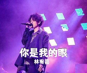 林宥嘉《你是我的眼吉他谱》(C调)