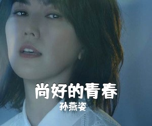 孙燕姿《尚好的青春吉他谱》(C调)