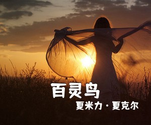 夏米力·夏克尔《百灵鸟简谱》
