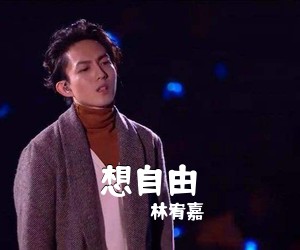 林宥嘉《想自由吉他谱》(C调)