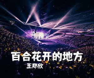 王郑欣《百合花开的地方简谱》