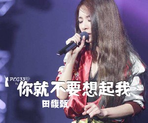 田馥甄《你就不要想起我吉他谱》(C调)