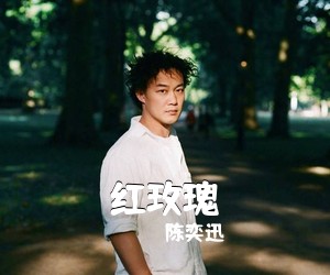陈奕迅《红玫瑰吉他谱》(E调)