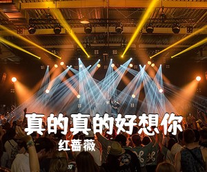 红蔷薇《真的真的好想你简谱》