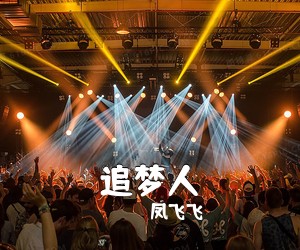 凤飞飞《追梦人吉他谱》(G调)