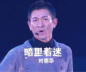 刘德华《暗里着迷吉他谱》(C调)