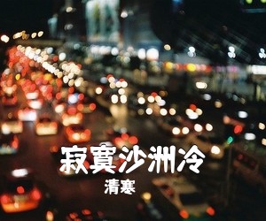 清寒《寂寞沙洲冷吉他谱》(G调)