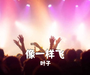 叶子《像一样飞吉他谱》(C调)