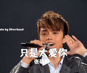 张敬轩《只是太爱你吉他谱》(G调)