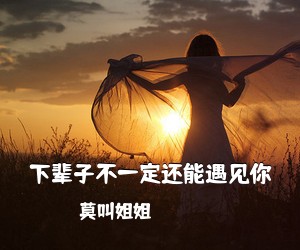 莫叫姐姐《下辈子不一定还能遇见你吉他谱》(G调)