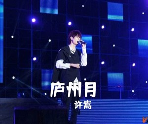 许嵩《庐州月吉他谱》(G调)