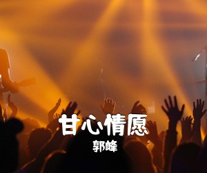 郭峰《甘心情愿吉他谱》(D调)