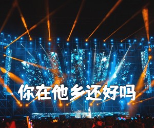 《你在他乡还好吗吉他谱》(G调)