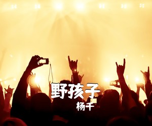 杨千嬅《野孩子吉他谱》(C调)