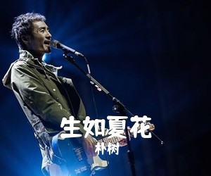 朴树《生如夏花吉他谱》(G调)