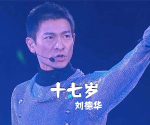 刘德华《十七岁吉他谱》(C调)