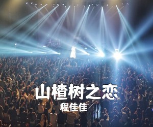 程佳佳《山楂树之恋吉他谱》(G调)