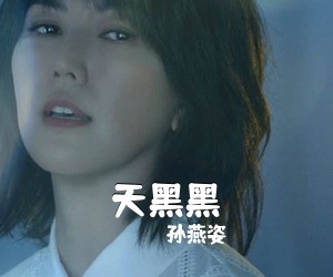 孙燕姿《天黑黑吉他谱》