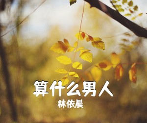 林依晨《算什么男人吉他谱》(C调)