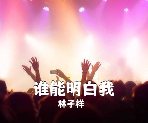 林子祥《谁能明白我吉他谱》(G调)