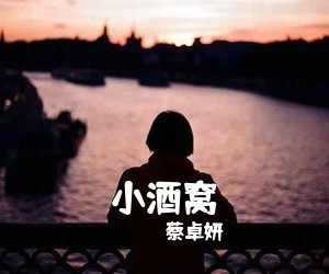 蔡卓妍《小酒窝吉他谱》