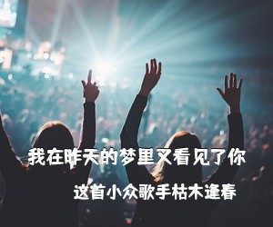 这首小众歌手枯木逢春《我在昨天的梦里又看见了你吉他谱》(C调)