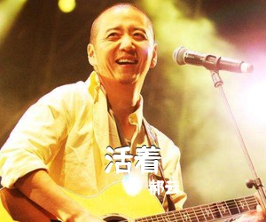 郝云《活着吉他谱》(G调)