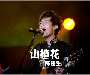 陈楚生《山楂花吉他谱》