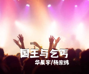 华晨宇/杨宗纬《国王与乞丐吉他谱》(D调)