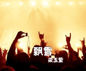 梁玉莹《飘雪吉他谱》(C调)