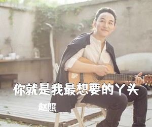 赵照《你就是我最想要的丫头吉他谱》