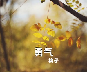 棉子《勇气吉他谱》(C调)