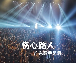 广东歌手吴勇《伤心路人吉他谱》(C调)