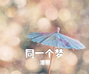 金莺《梦里相聚一杯酒简谱》
