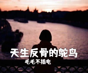 毛毛不插电《天生反骨的鸵鸟吉他谱》(C调)