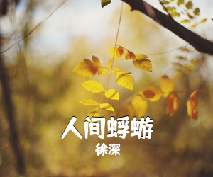 徐深《人间蜉蝣吉他谱》(C调)