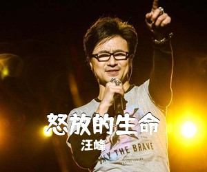 汪峰《怒放的生命吉他谱》(C调)