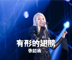 张韶涵《有形的翅膀吉他谱》(G调)