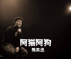 陈奕迅《阿猫阿狗吉他谱》(D调)