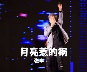 张宇《月亮惹的祸吉他谱》(G调)