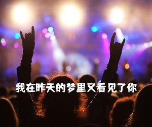 《我在昨天的梦里又看见了你吉他谱》(C调)